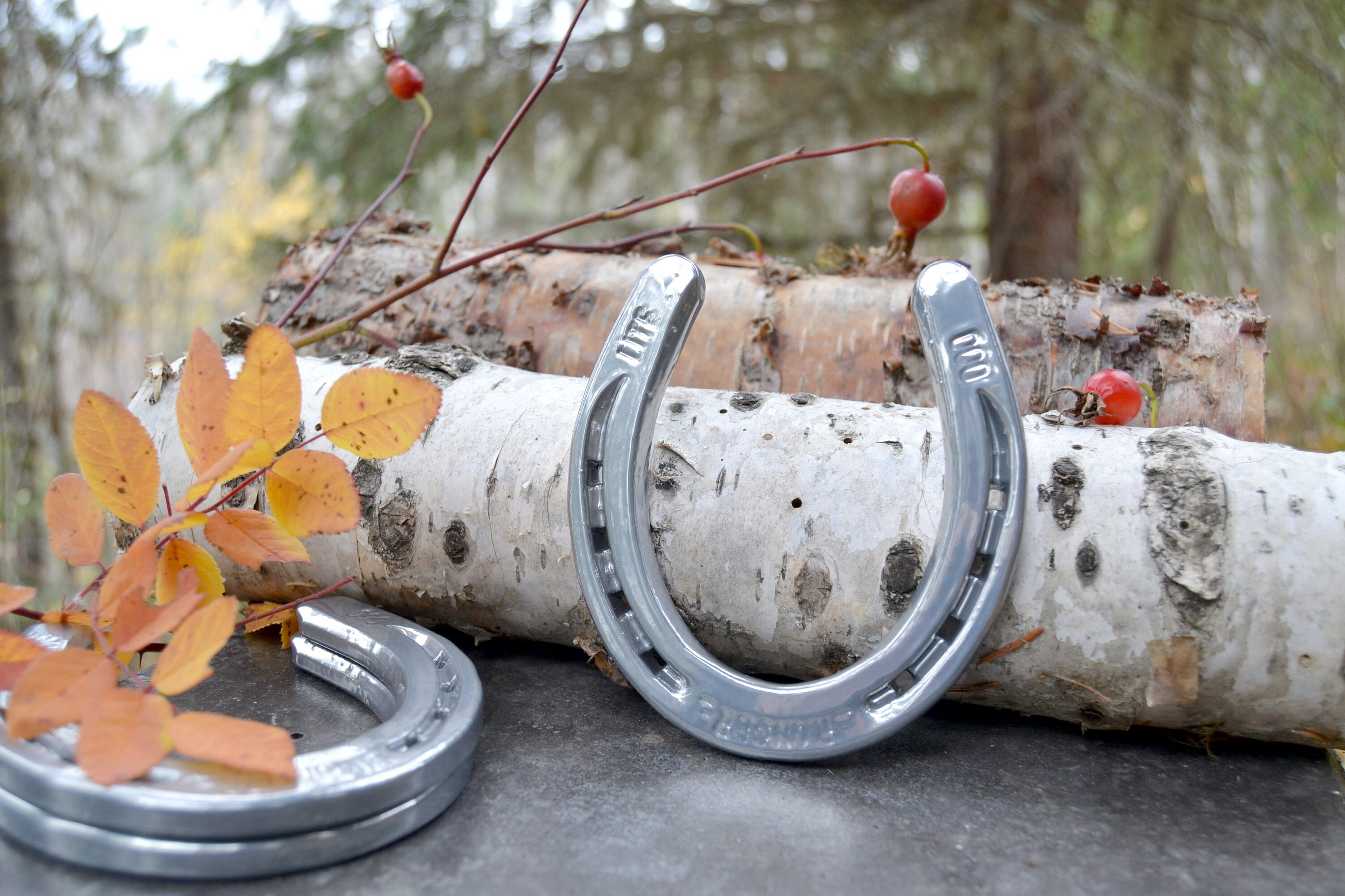 Powder Coated Horseshoe Chrome Horseshoe Silver Horseshoe Lucky