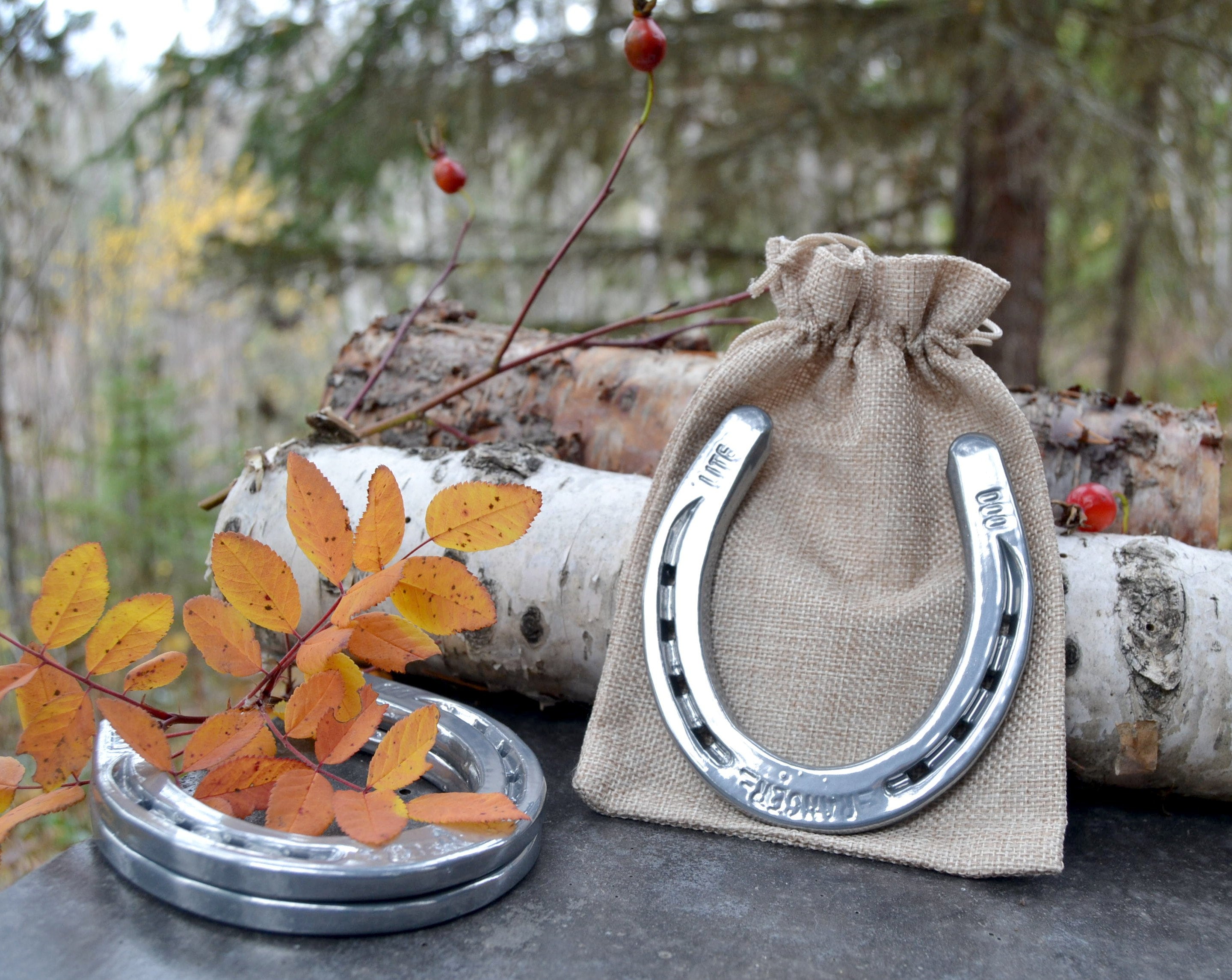 Powder Coated Horseshoe Chrome Horseshoe Silver Horseshoe Lucky