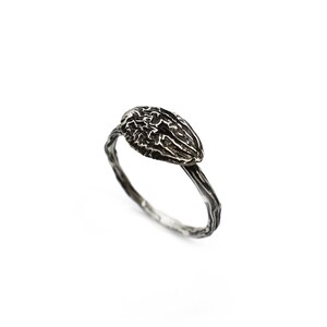 Abrikozenkern en wijnstokring, sterling zilveren ring, handgemaakte sieraden, op de natuur geïnspireerde ring, botanische sieraden, speciaal sieradencadeau