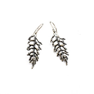 Jacobaea maritima leaf earrings, sterling silver earrings, handcrafted jewelry, botanical jewelry, special jewelry gift