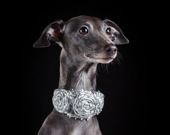 Silver Leather greyhound collar, Dog collar, Leather Dog Collar for Italy Greyhound, Chinese Crested Dog collar, Xoloitzcuintli collar