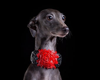 革製犬用首輪 | イタリアン グレーハウンド用犬用首輪 | チャイニーズ
