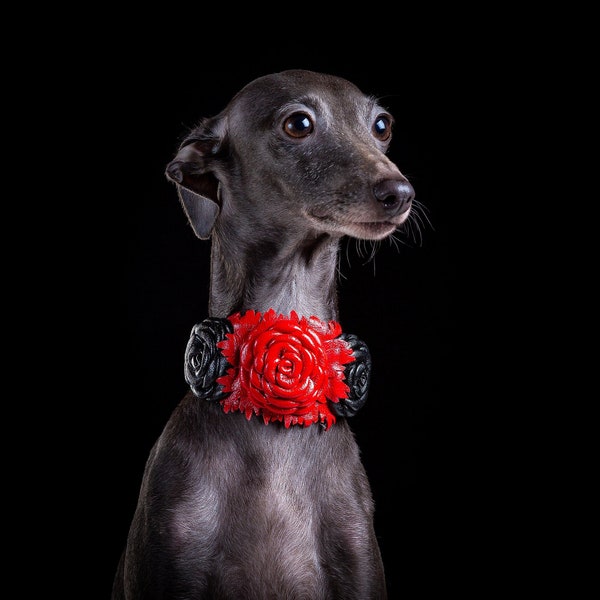 Leather Dog Collar | Dog Collar for Italian Greyhound | Chinese Crested Dog | Windhundhalsband | Designed Dog Collar