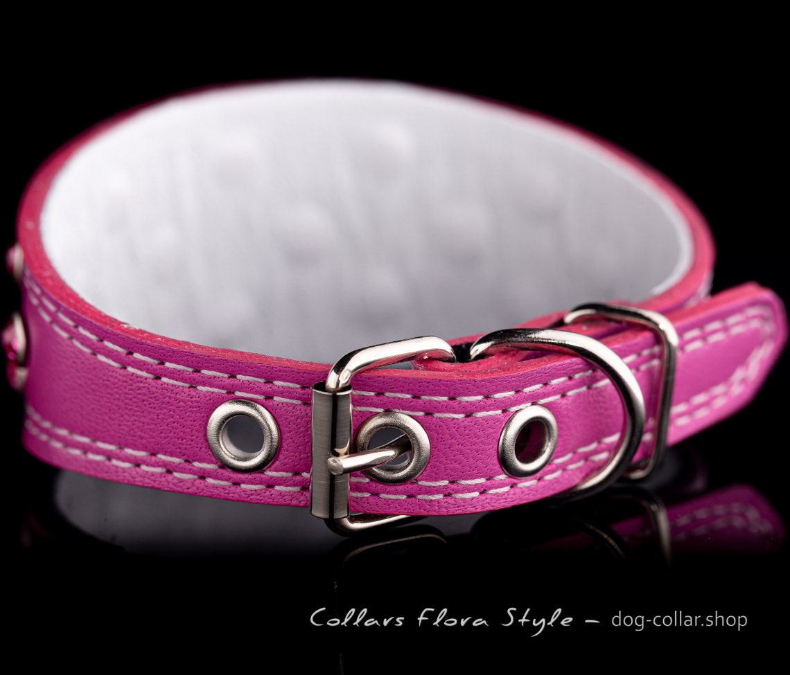Italian greyhound collar Genuine leather Dog collar with Etsy