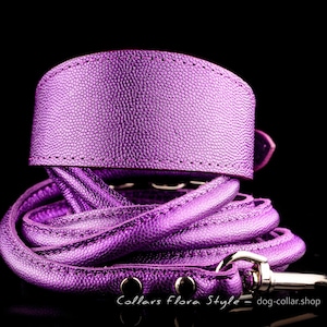 Set - Collar & Leash, Leather Dog Collar for Italian Greyhound, Sighthound, Whippet, Xoloitzcuintli, Basenji, Greyhound