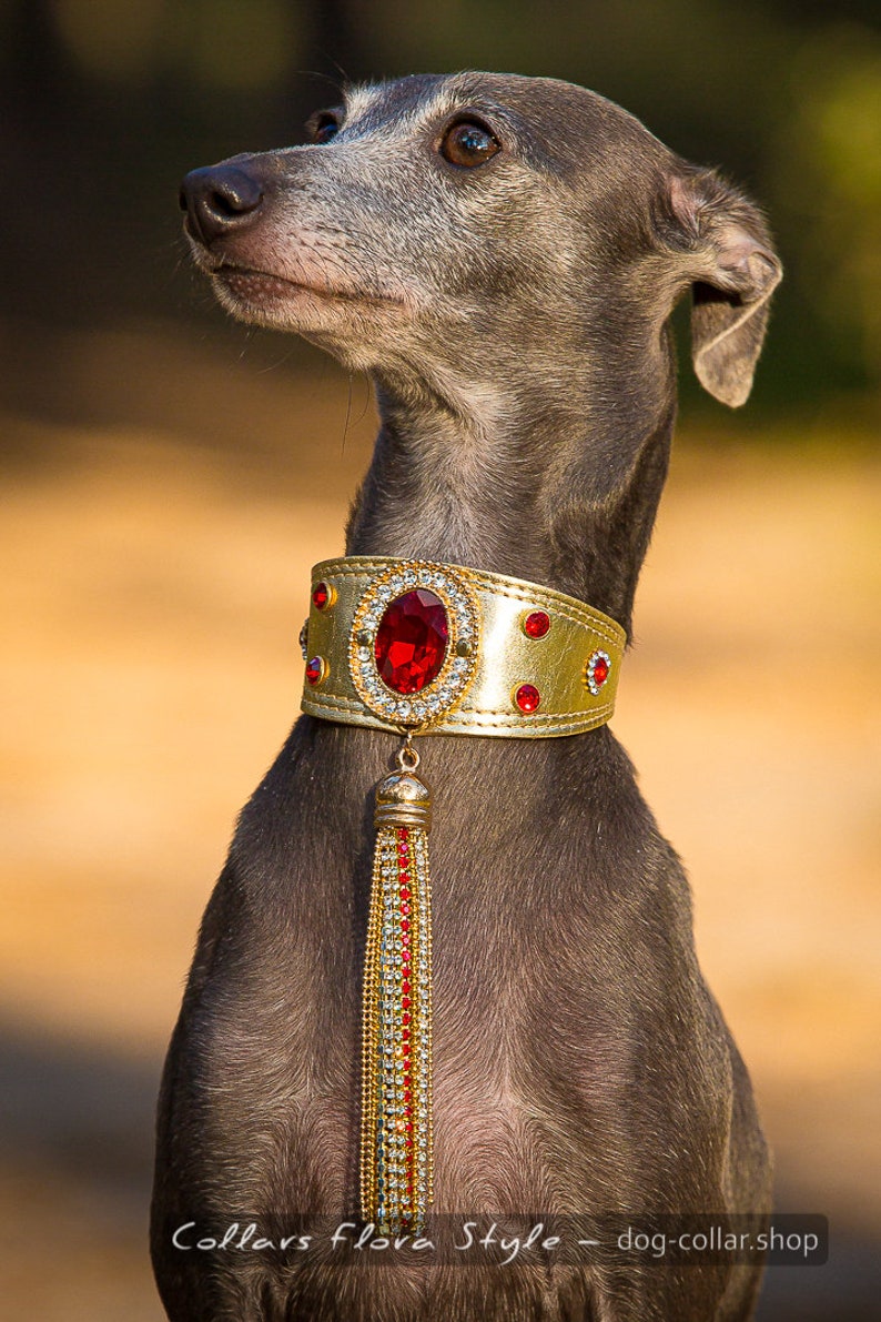 Luxury leather dog collar for Italian Greyhound Sighthound Etsy
