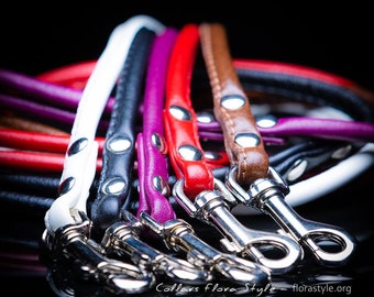 Dog Leash, Leather Dog Leash, Dog Leash Leather, Leather Dog Leash, dog lead SIZE - S & M