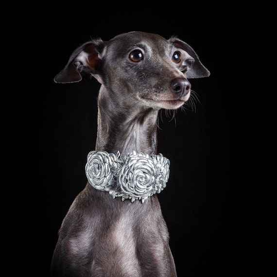 Etsy deals greyhound collar
