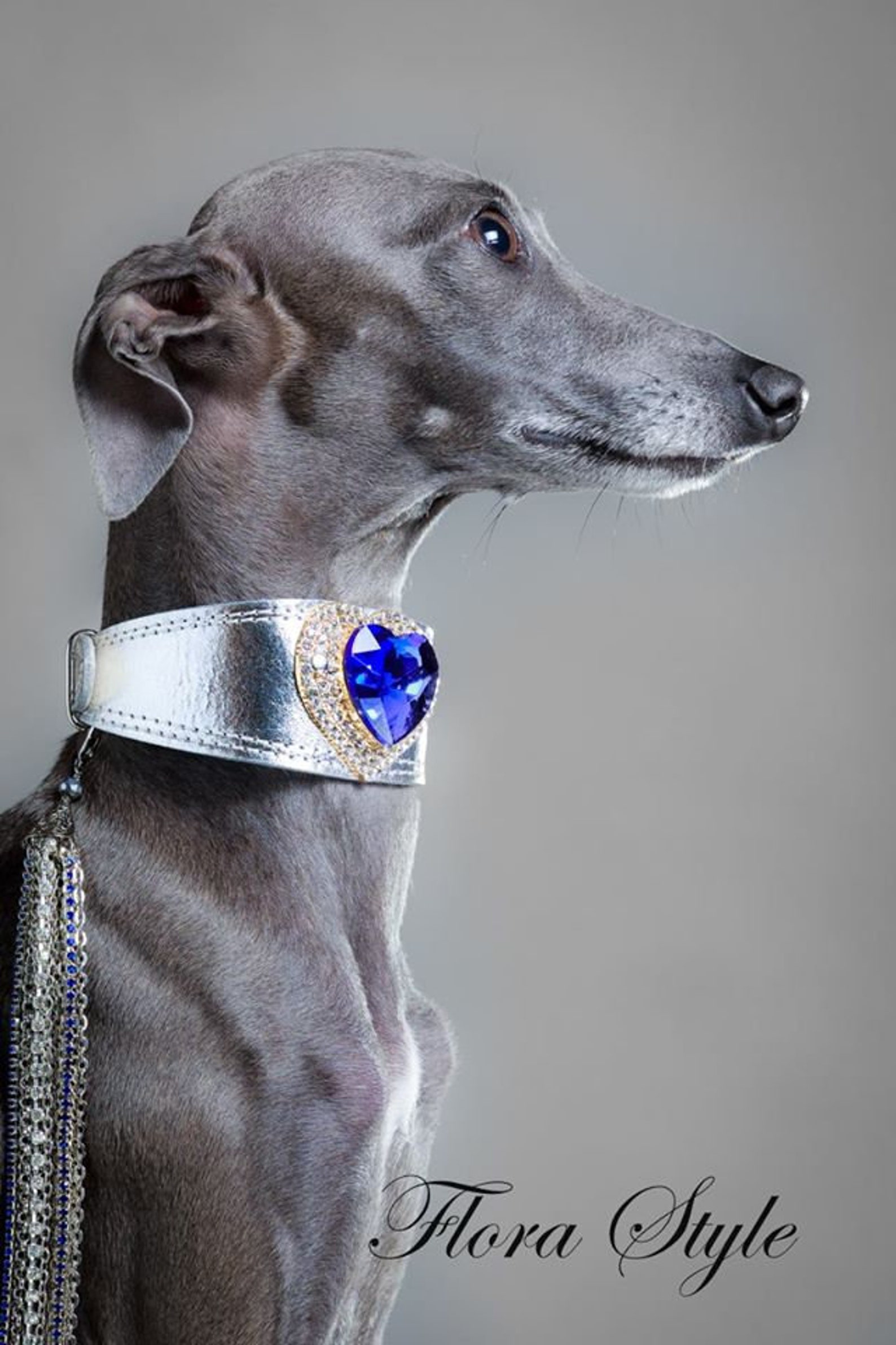 Luxury Leather Dog Collar for Italian Greyhound Sighthound Etsy