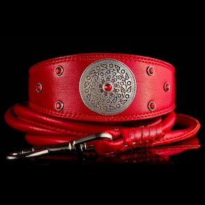 Collier et laisse en cuir de créateur pour lévrier, lévrier, lévrier afghan, saluki, galgo, azawakh
