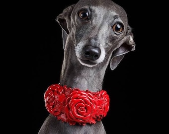 イタリアングレーハウンド用レザー犬用首輪｜チャイニーズクレステッド