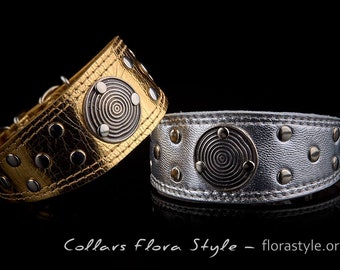 イタリアン グレーハウンド、サイトハウンド、ショロイツクイントリ