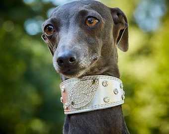 Lexus Luxury Leather Designer Dog Collars