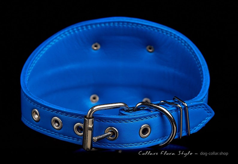 Galgo Borzoi dog Afghan Hound collar Greyhound Saluki collar Lurcher collar Azawakh collar Leather dog collar for Sighthound