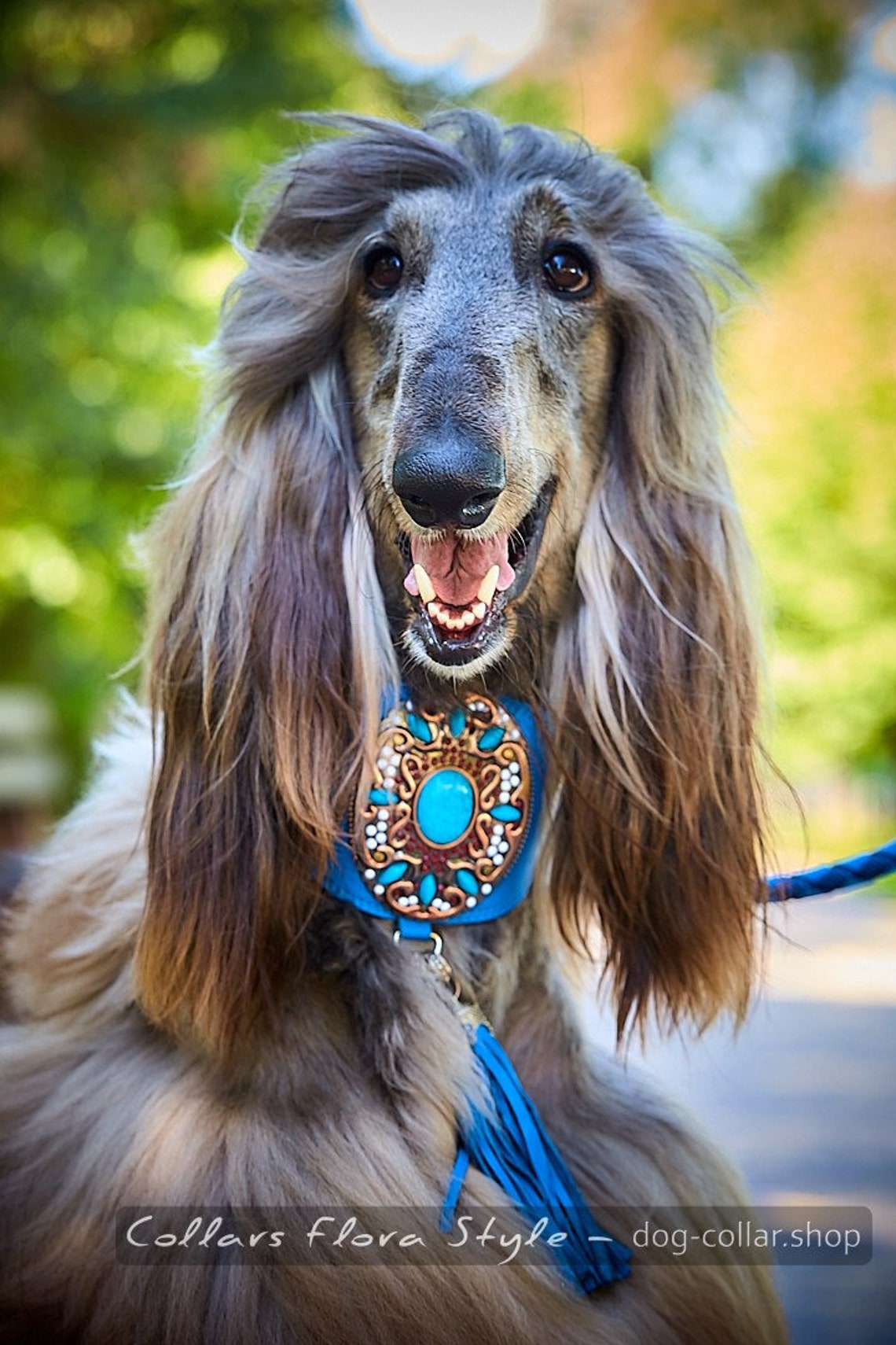 Leather dog collar for Sighthound Greyhound Afghan Hound Etsy