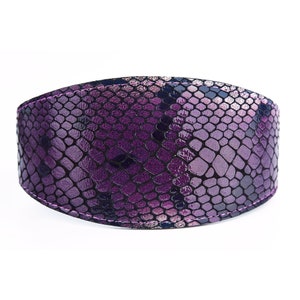 Collier pour chien en cuir verni à imprimé exotique pour lévrier, lévrier, lévrier afghan, saluki, galgo, azawakh, lurcher, barzoï