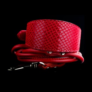 Set: halsband en riem, leren halsband voor Italiaanse windhond, windhond, Whippet, Xoloitzcuintli, Basenji, windhond
