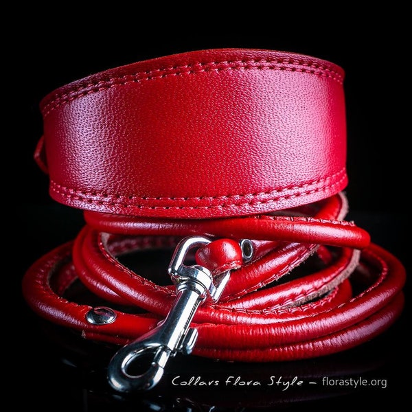 Collier de chien en cuir rouge | Laisse pour chien | Ensemble collier et laisse pour chien pour lévrier italien Xoloitzcuintli Sighthound Whippet | collier pour petit chien