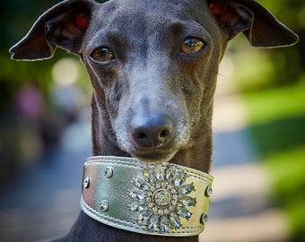 Exclusive dog collar | Luxury leather dog collar for Italian greyhound, Chinese Crested Dog, Xoloitzcuintli, Poodle, Sighthound | Dog collar
