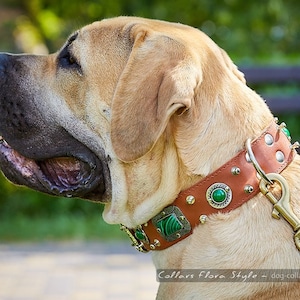 Handmade Leather dog collar, Large Dog Collar, Dog collar with spikes | American Bulldog, Bully, Labrador, Bullmastiff, Cane Corso