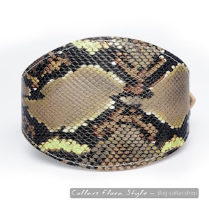 Collier de chien en cuir pour Sighthound, Greyhound, Afghan Hound, Saluki, Galgo, Azawakh, Lurcher, Borzoi dog | Collier de gros chien | Collier de chien garçon