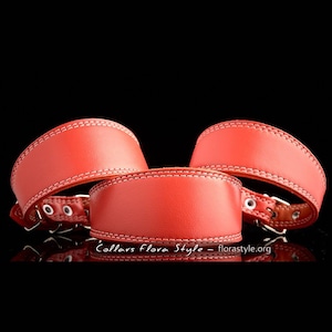 Leather Italian Greyhound collar, Sighthound collar, Whippet collar, Poodle, Saluki, Basenji, Dachshund | small dog collar | puppy collar