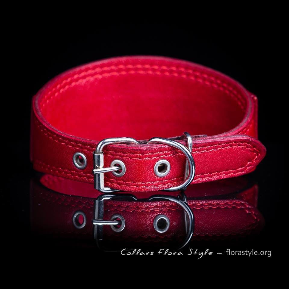 イタリアン グレイハウンド、サイトハウンド、ショロイツクイントリ用