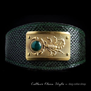 Collier de chien en cuir de luxe pour lévrier, lévrier, lévrier afghan, saluki, galgo, azawakh, lurcher, barzoï