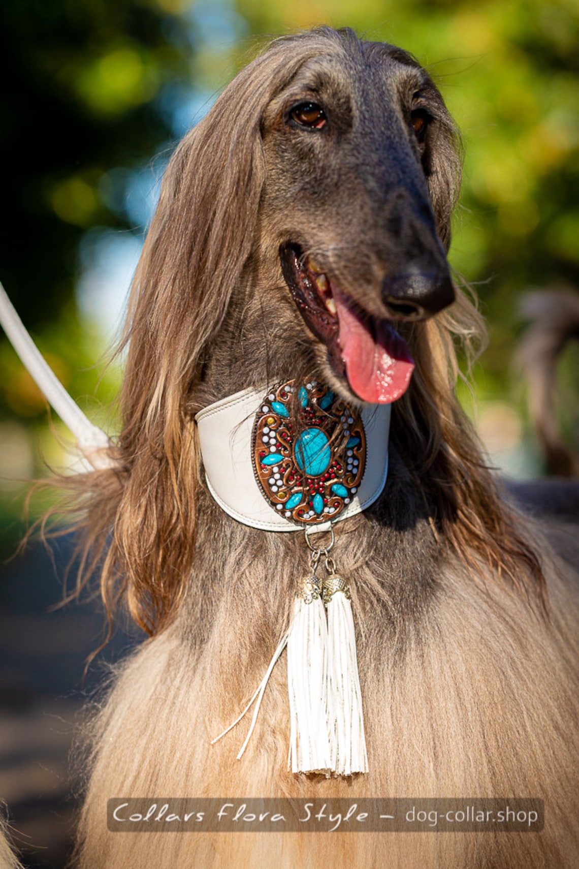 Leather dog collar for Sighthound Greyhound Afghan Hound Etsy