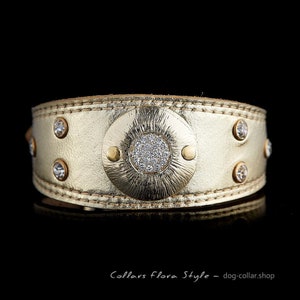 Luxury leather dog collar for Italian greyhound, levriero italiano, Whippet, Xoloitzcuintli, Poodle, Sighthound dog collar | gold dog collar
