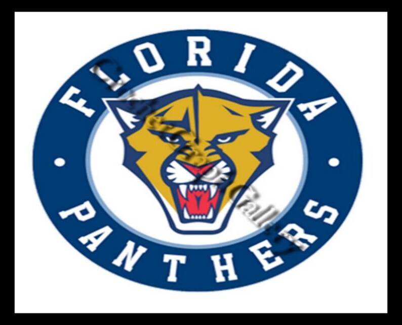 Crochet Florida Panthers DOUBLE size Graphgan Charthockeysportscrochethockey blanketpattern