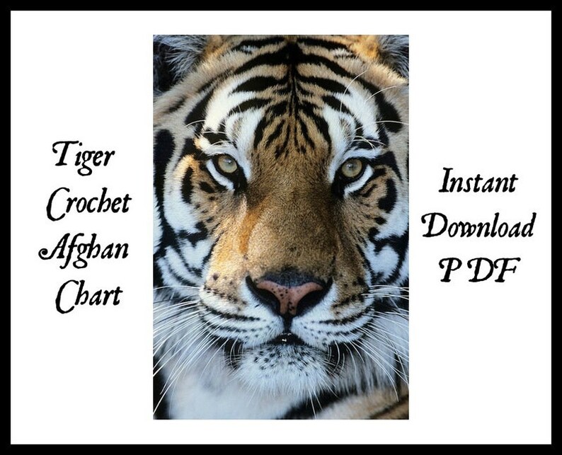 Tiger Crochet Afghan Chart/instant DOWNLOAD Etsy