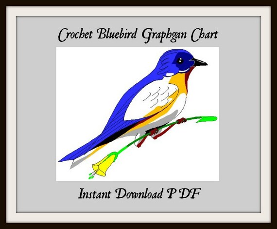 Bluebird Fee Chart