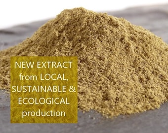 Weld Extract from Occitania  - Natural Dyes - Plant Dyes - Reseda Luteola - 1 ounce package