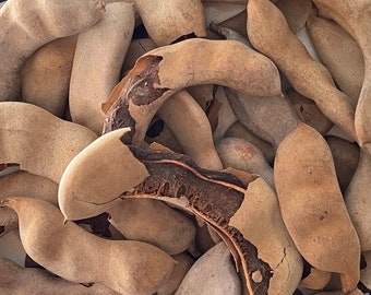 Dried Tamarind Pods - sold by the pound