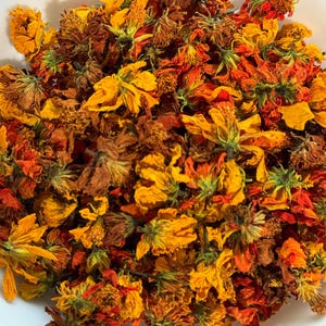 Sulfur Cosmos - Dried Flowers - sold by the ounce