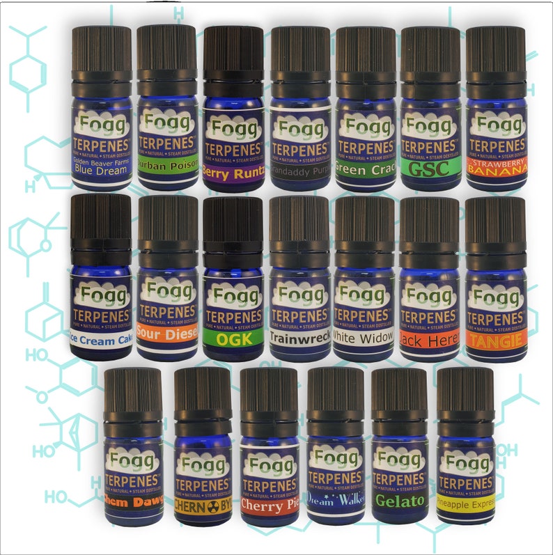 FOGG TERPENES™ 20 Pack Terpene Flavor Profile Collection image 2
