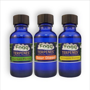 FOGG TERPENES™ Citrus Collection - Terpeenprofielcollectie