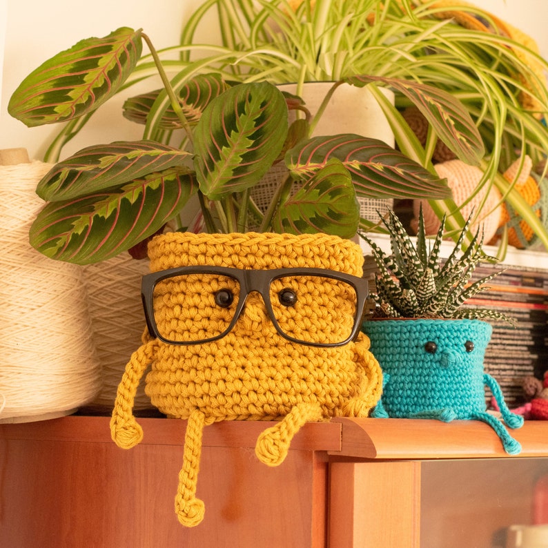 Amigurumi pattern PDF ESP y ENG La maceta intelectual the clever pot amigurumi xl crochet xl imagen 3