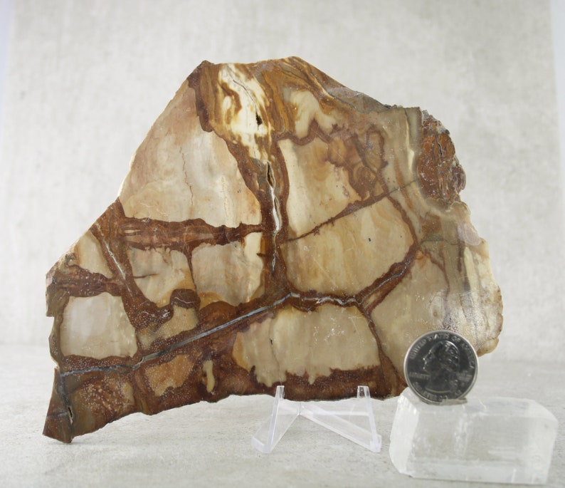 Picture Jasper Rough Slab Specimen Natural Unpolished Jasper Specimen Rock Specimen Collector Stone Lapidary Slab