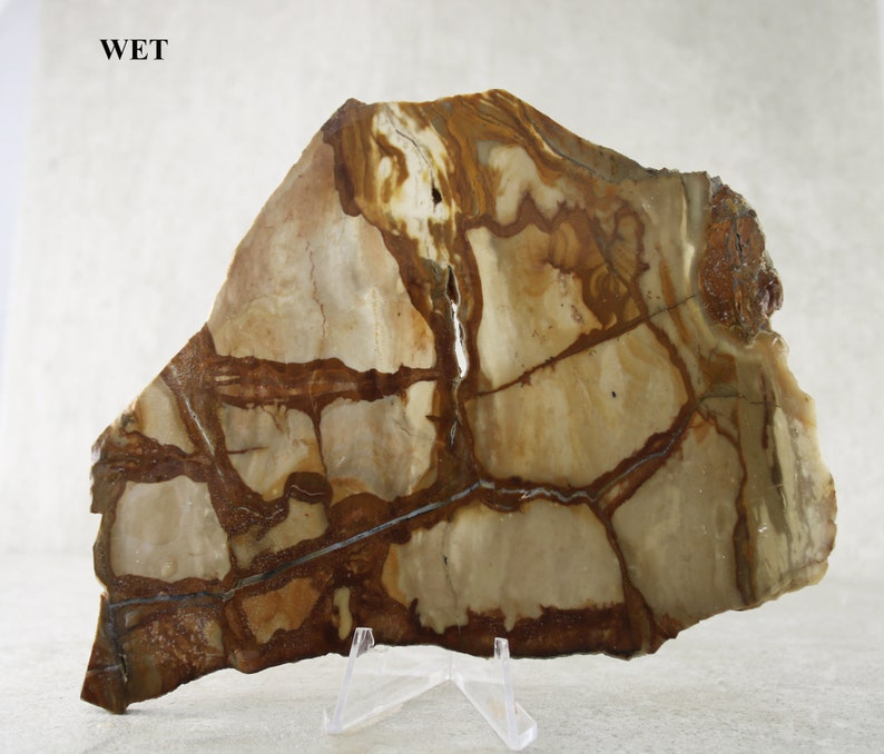Picture Jasper Rough Slab Specimen Natural Unpolished Jasper Specimen Rock Specimen Collector Stone Lapidary Slab