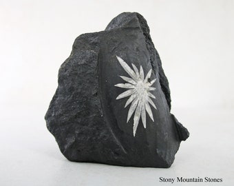 Chrysanthemum Stone, Flower Stone, Black & White Collector Stone, Flower Rock Specimen, Self Standing Display Stone, Unique Gift