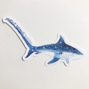 Thresher Shark Sticker | Shark Conservation Donation | Teacher Sticker | Waterproof Vinyl Sticker | Teacher Gift