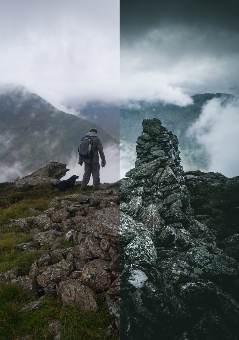 Adobe Camera Raw Preset Dark Green Cinematic Professional Etsy