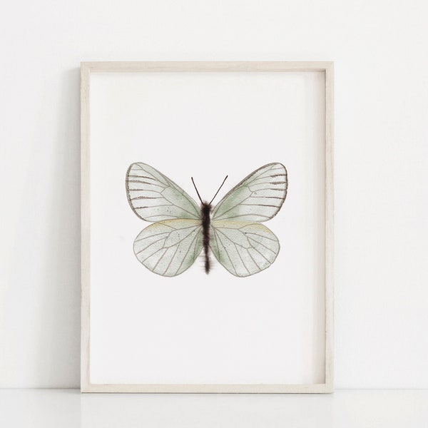 Neutral Butterfly Painting, Printable Wall Art, Soft Blue Watercolor Butterfly Print, Large Instant Digital Download, Nautre Moth print