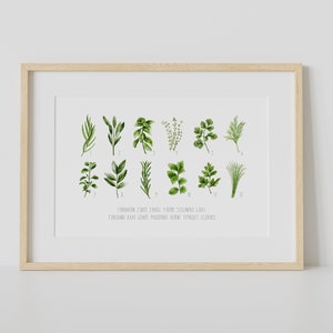 Herb Printable Wall Art, Watercolour Herb Print, herb painting, Kitchen wall art, Kitchen Printable Art, Botanical print, garden plant art