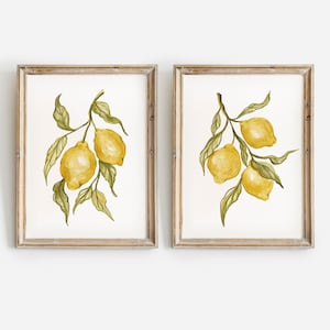 Pode incluir: Duas impress&otilde;es em aquarela emolduradas com galhos de lim&atilde;o com lim&otilde;es amarelos e folhas verdes. A obra de arte &eacute; definida em um fundo branco e emoldurada em molduras de madeira marrom claro r&uacute;sticas. As impress&otilde;es s&atilde;o um conjunto.