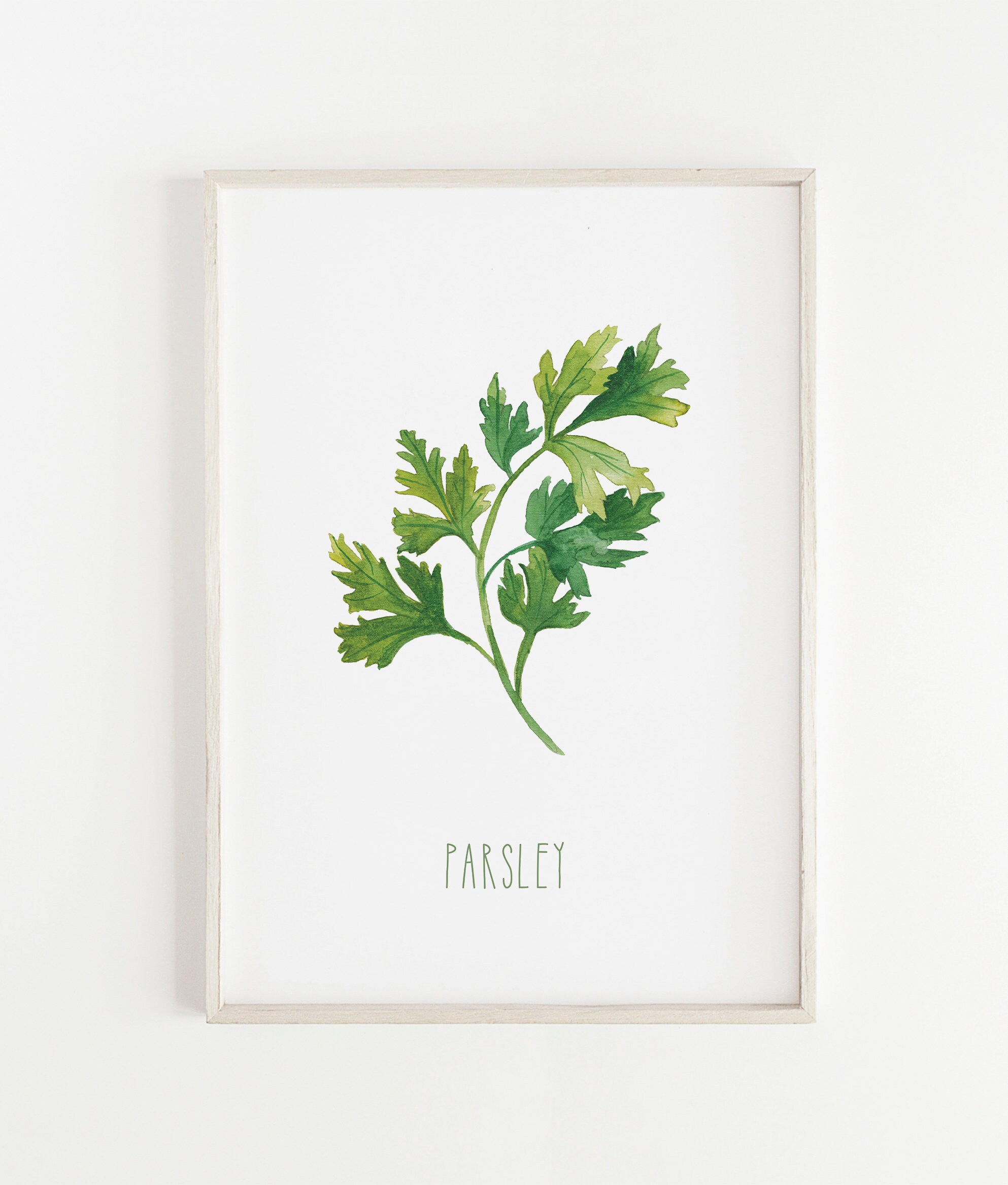Herb Prints Botanical Print Herb Print Set Printable Wall | Etsy
