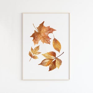 May include: A framed wall art print featuring a watercolor illustration of four autumn leaves in shades of orange, brown, and yellow. The leaves are arranged against a plain white background, showcasing detailed veins and textures in a natural style.