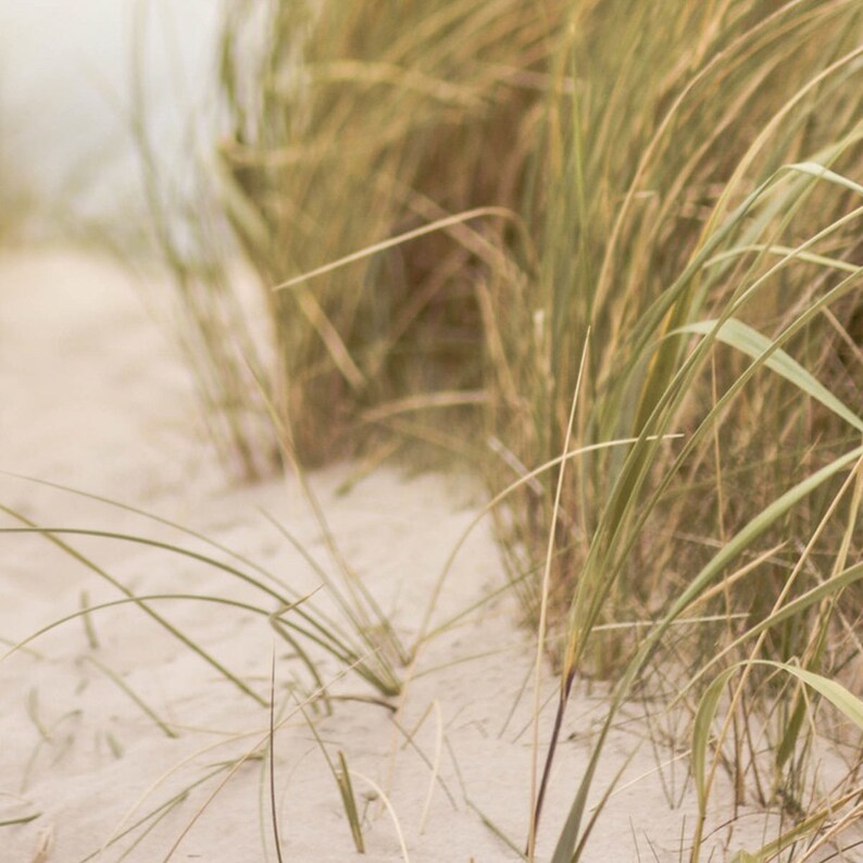 Strand Druck/ Küstendruck / Strand Dekor / Strandhaus Dekor / | Etsy